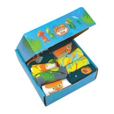 Dinosaur Train - Boys Fun Socks Gift Box Set