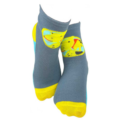 Dinosaur Train Mr. Conductor Kids Socks - 3 Pair